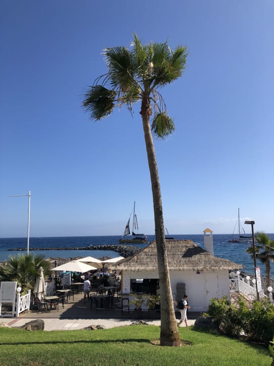 Ausblick Hotel Riu Palace Tenerife