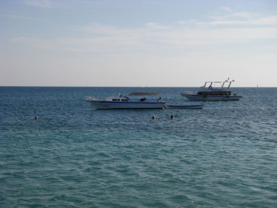 Blick aufs Meer Eagles Paradise Abu Soma