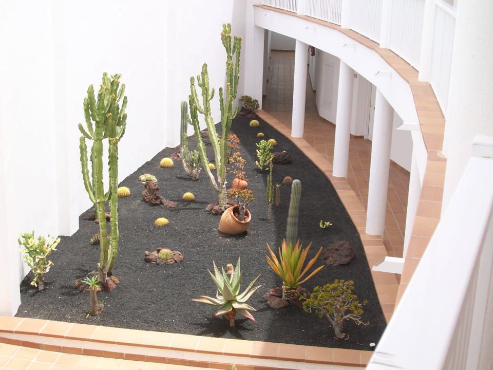 Pflanzen zwischen den Zimmerfluren Hotel Riu Gran Canaria