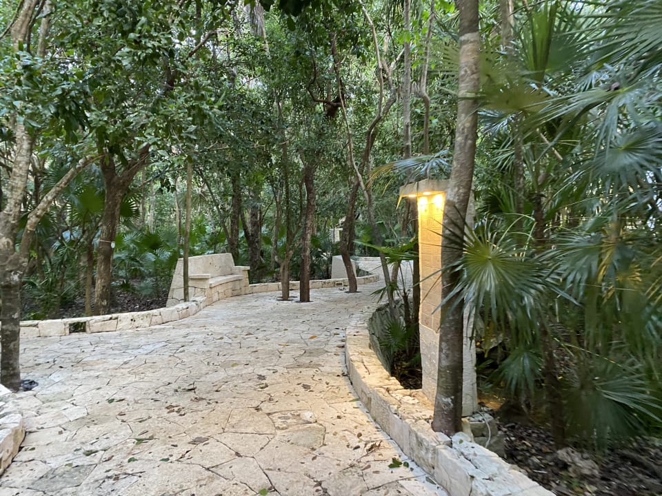 Gartenanlage Catalonia Royal Tulum Beach & Spa Resort - Adults only