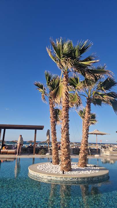 Pool allsun Hotel Carolina Mare