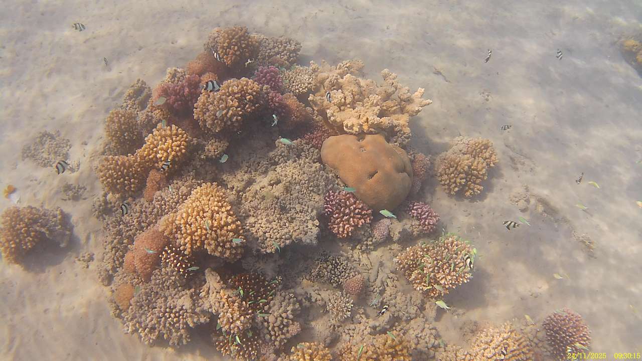 Strand Shams Safaga Resort