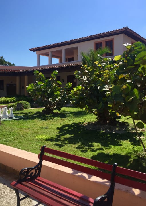 Garten Starfish Cuatro Palmas