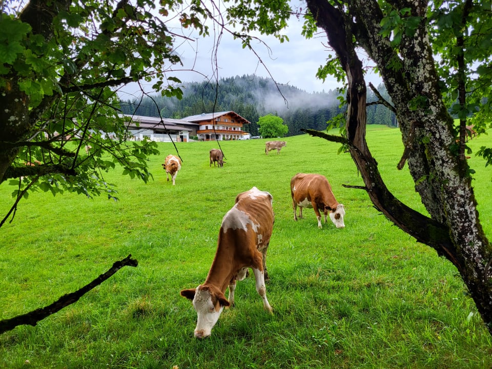 Außenansicht Bio-Bauernhof Oberhochstätt