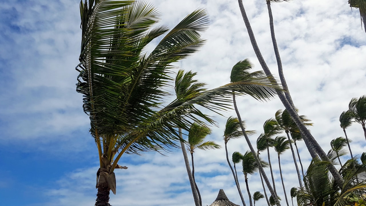 Ausblick Grand Palladium Punta Cana Resort & Spa