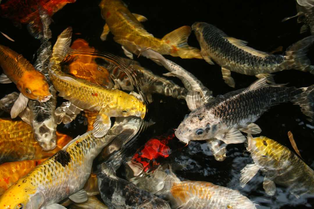 Eingang Lobby Hotel Navalai River Resort