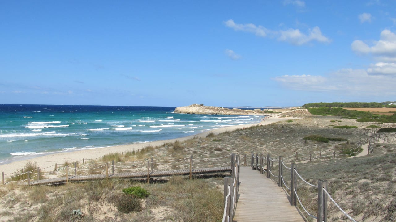Westlicher Strandabschnitt Son Bou Apartments Mar Blau