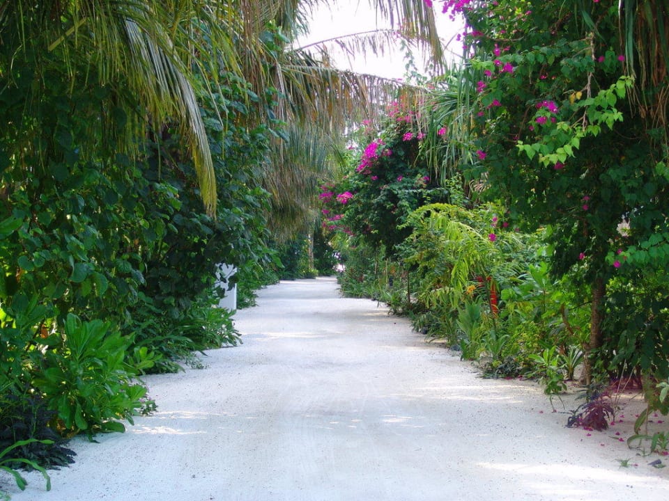 Gehweg Machchafushi Island Resort & Spa Maldives, The Centara Collection