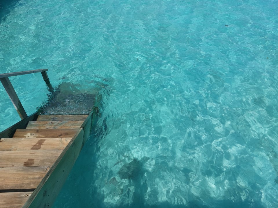 Zimmer Meeru Maldives Resort Island