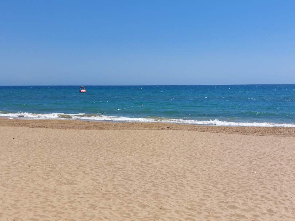 Strand Seashell Vega