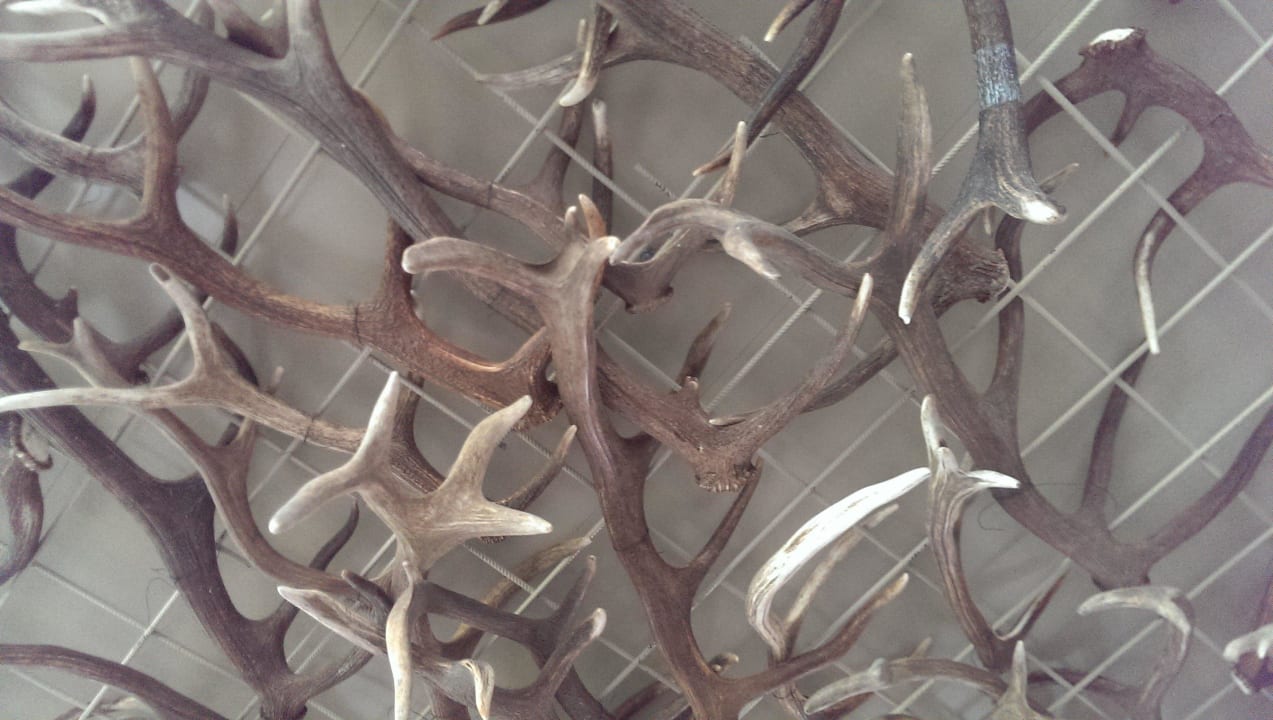 Deckendetails Hotel Chalet Mirabell