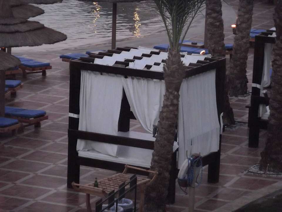 Pool Pickalbatros Palace Resort