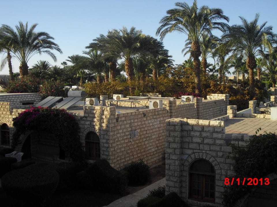Вид из номера Aladdin Beach Resort