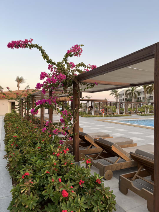 Pool Steigenberger Resort Ras Soma