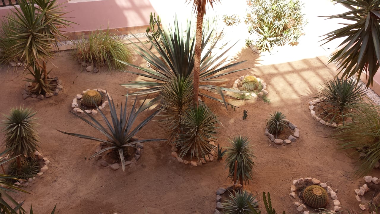 Gartenanlage Three Corners Rihana Resort Deluxe