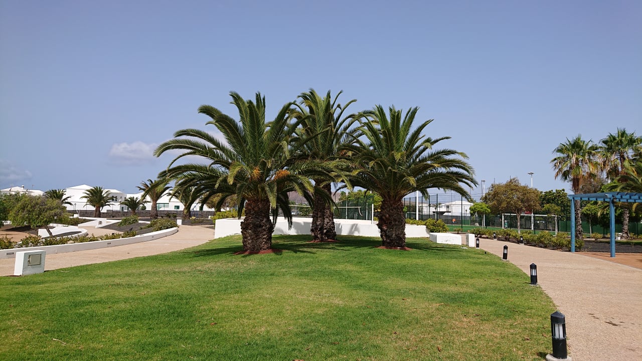 Gartenanlage Hotel THB Tropical Island