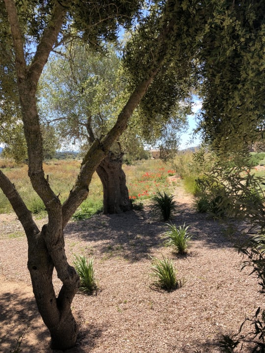 Ausblick Villa 3 - Carrossa Hotel Spa Villas