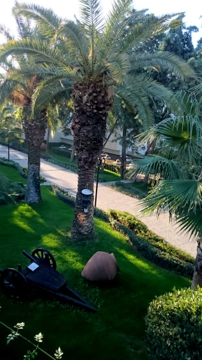 Gartenanlage Paloma Oceana