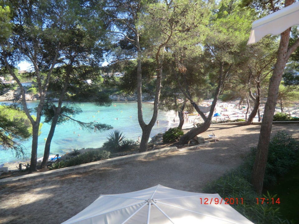 Blick vom Hotel zum Strand Iberostar Waves Pinos Park