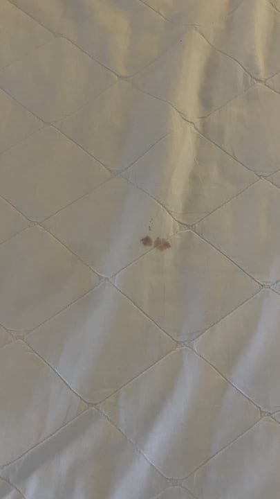 Zimmer Salalah Rotana Resort