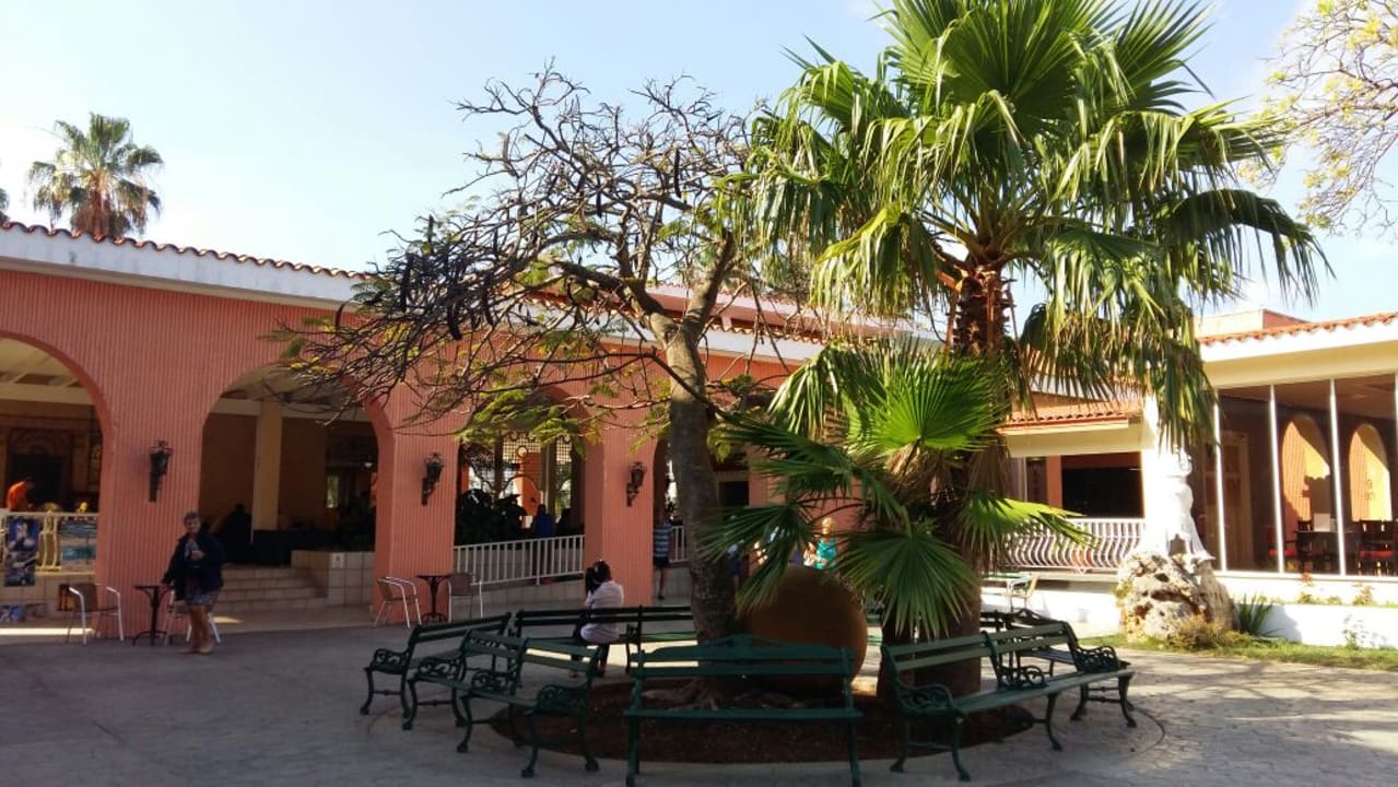 Blick zur Lobby Hotel Roc Barlovento