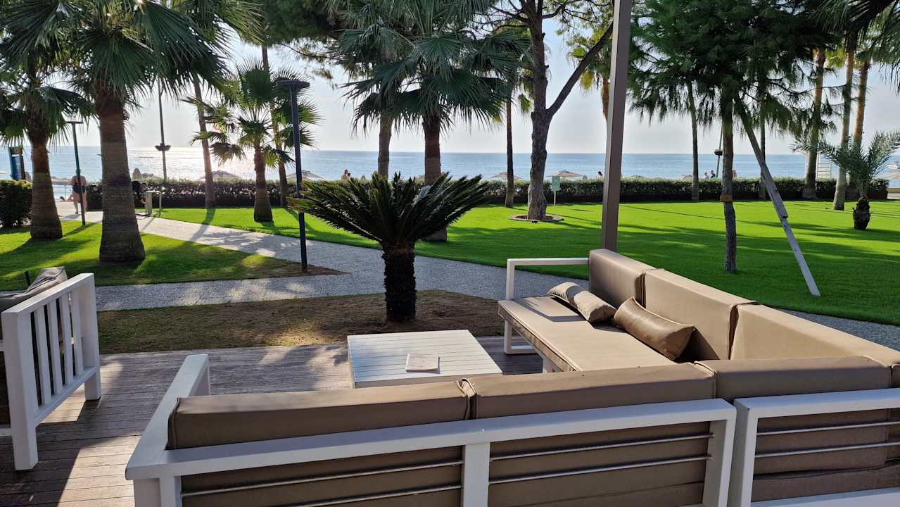 Gastro Acanthus Cennet Barut Collection