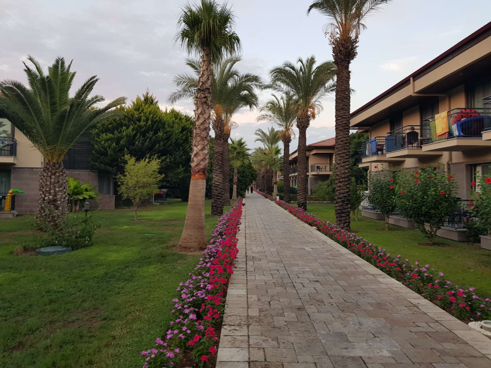 Gartenanlage TUI BLUE Palm Garden