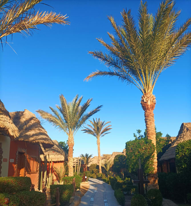 Gartenanlage Panorama Bungalows Resort El Gouna