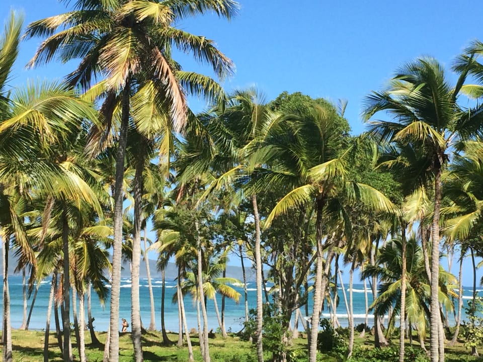 Außenansicht Wyndham Alltra Samana