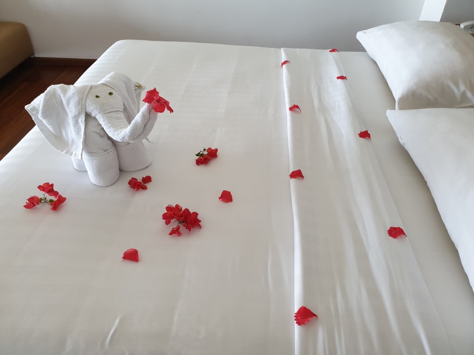 Zimmer Pandanus Beach Resort & Spa