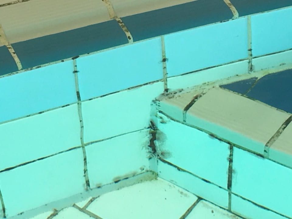 Pool DORMERO Hotel Bonn - Windhagen