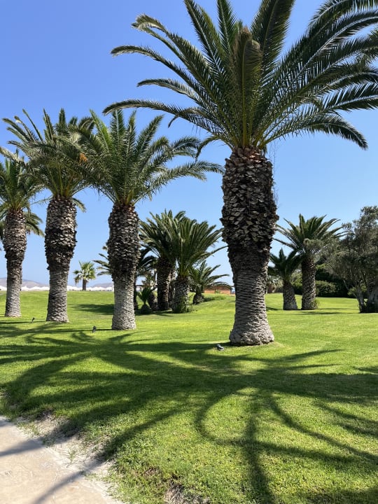 Gartenanlage Caravia Beach Hotel