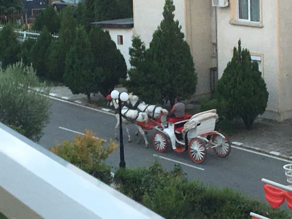 Ausblick Hotel Panorama