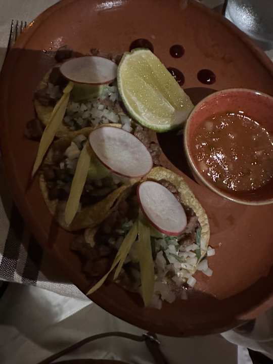 Gastro Secrets Akumal Riviera Maya - Adults only