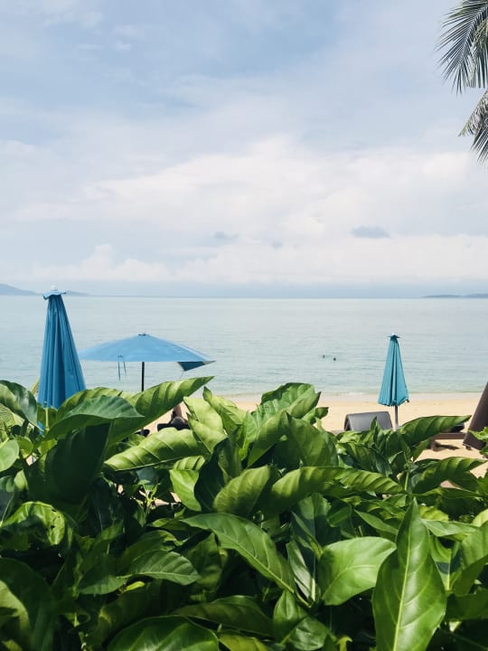 Strand Pinnacle Samui Resort