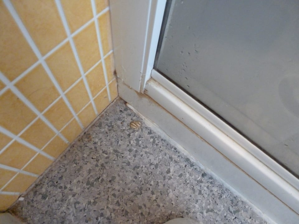 Schimmel und Dreck im Bad Apartments Mix Bahia Real