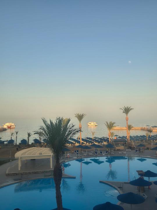 Zimmer Beach Albatros Resort