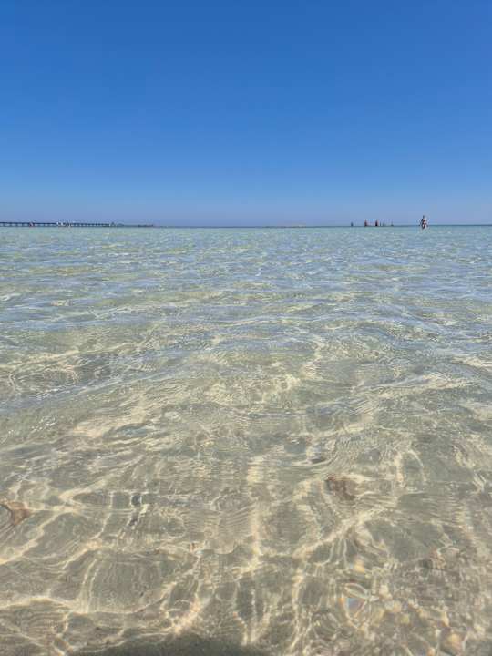 Strand JAZ Elite Asteria