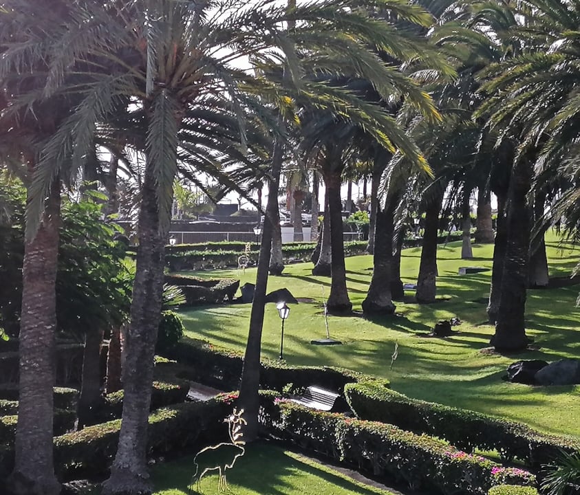Ausblick Hotel Riu Paraiso Lanzarote