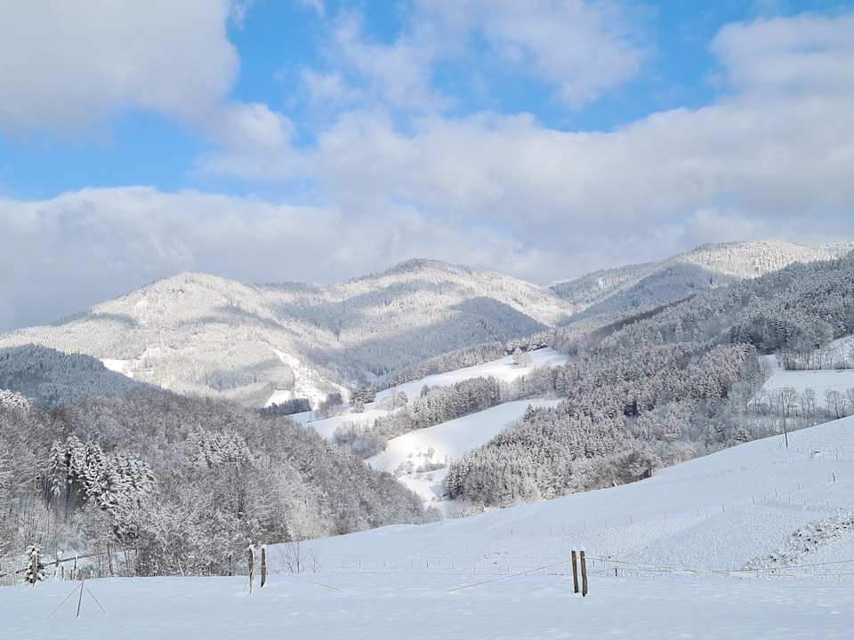 Ausblick Bauernhof Bernhardenhof