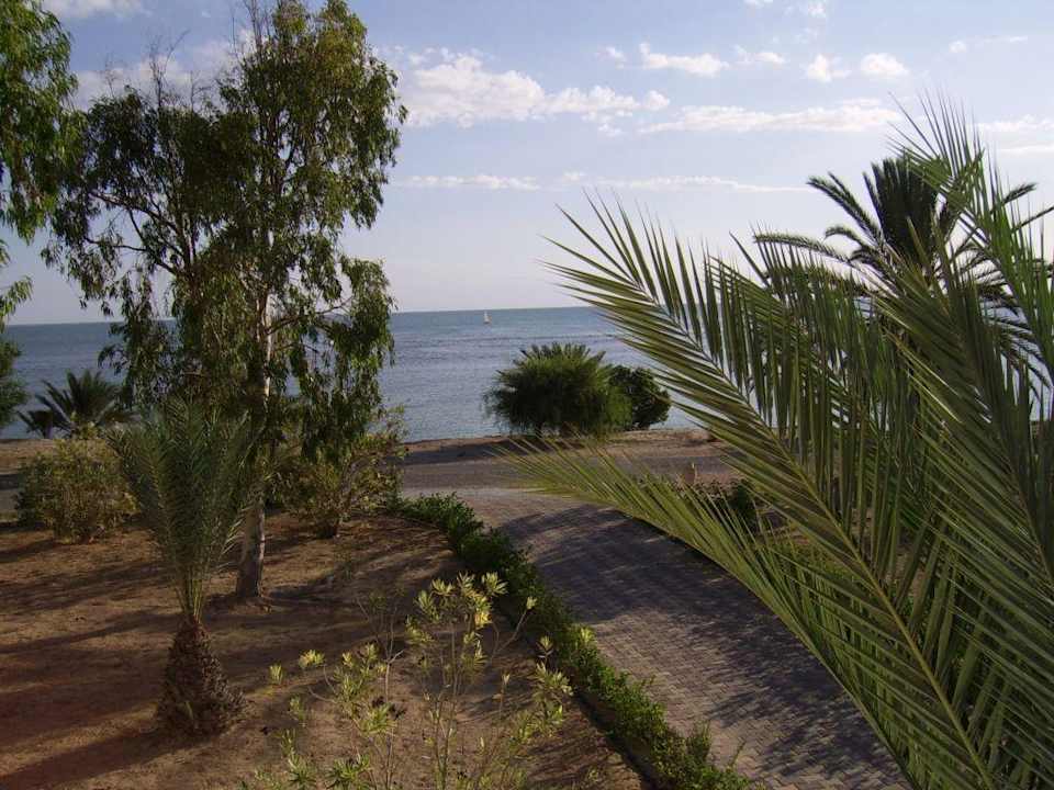 Aussicht von der Terrasse Hotel El Mouradi Djerba Menzel