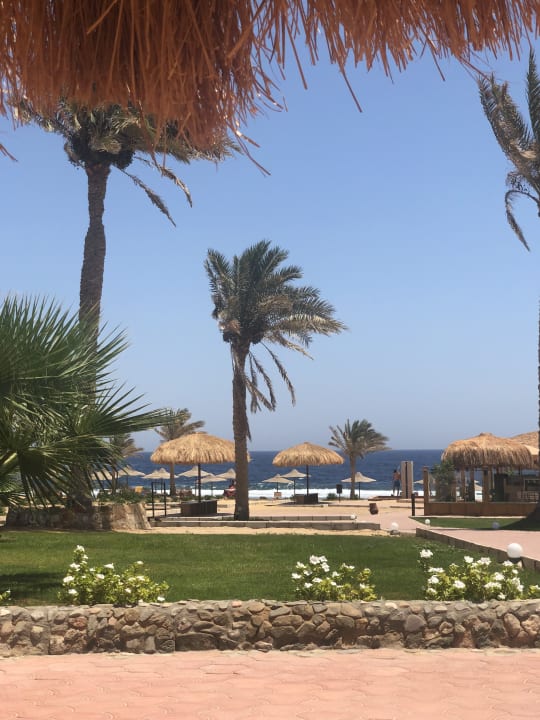 Gartenanlage Three Corners Sea Beach Resort