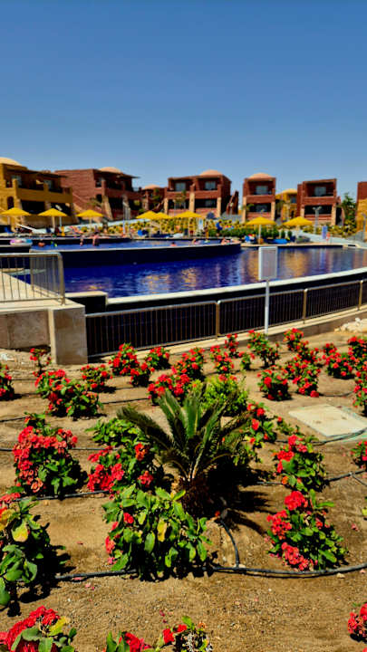 Pool Pickalbatros Vita Resort - Portofino Marsa Alam