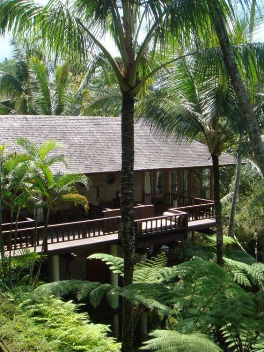 Baumhaus COMO Shambhala Estate