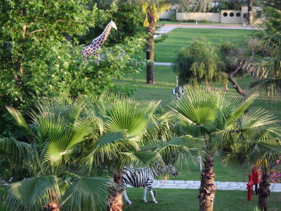 Magic Mungo Club Asteria Family Belek