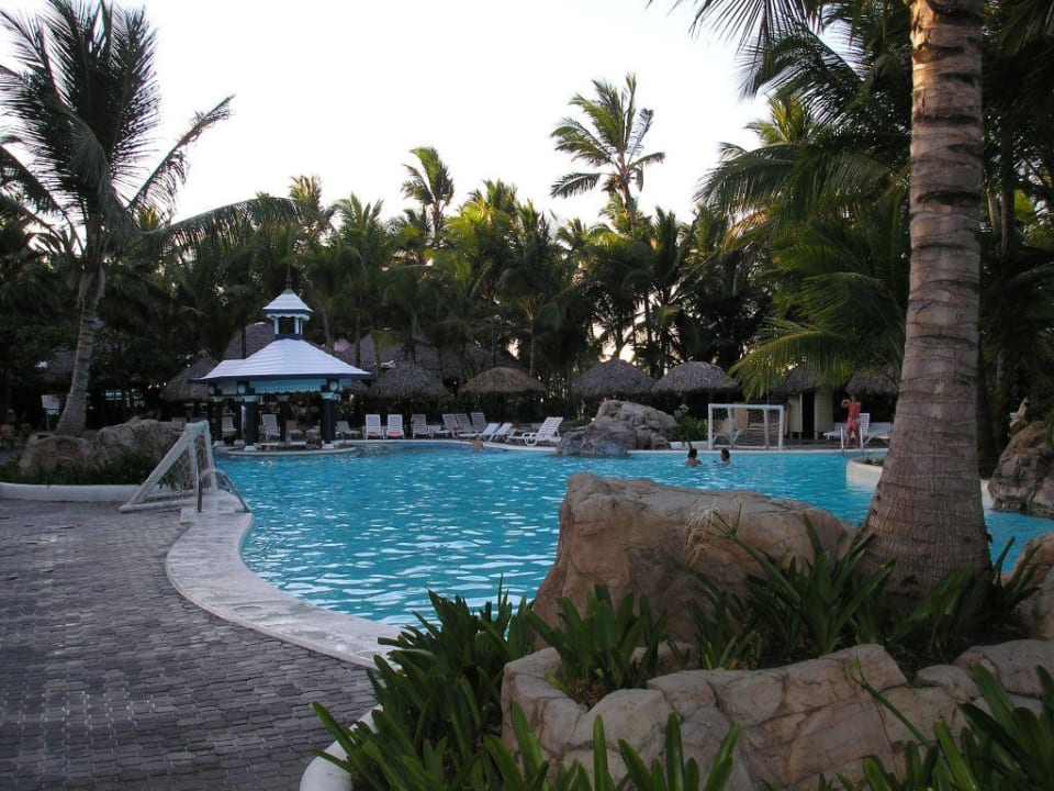 Pool mit intigrierter Bar Hotel Riu Palace Bavaro