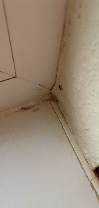 Zimmer Center Parcs Park Bostalsee