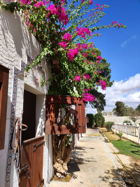 Gartenanlage The Orangers Beach Resort and Bungalows