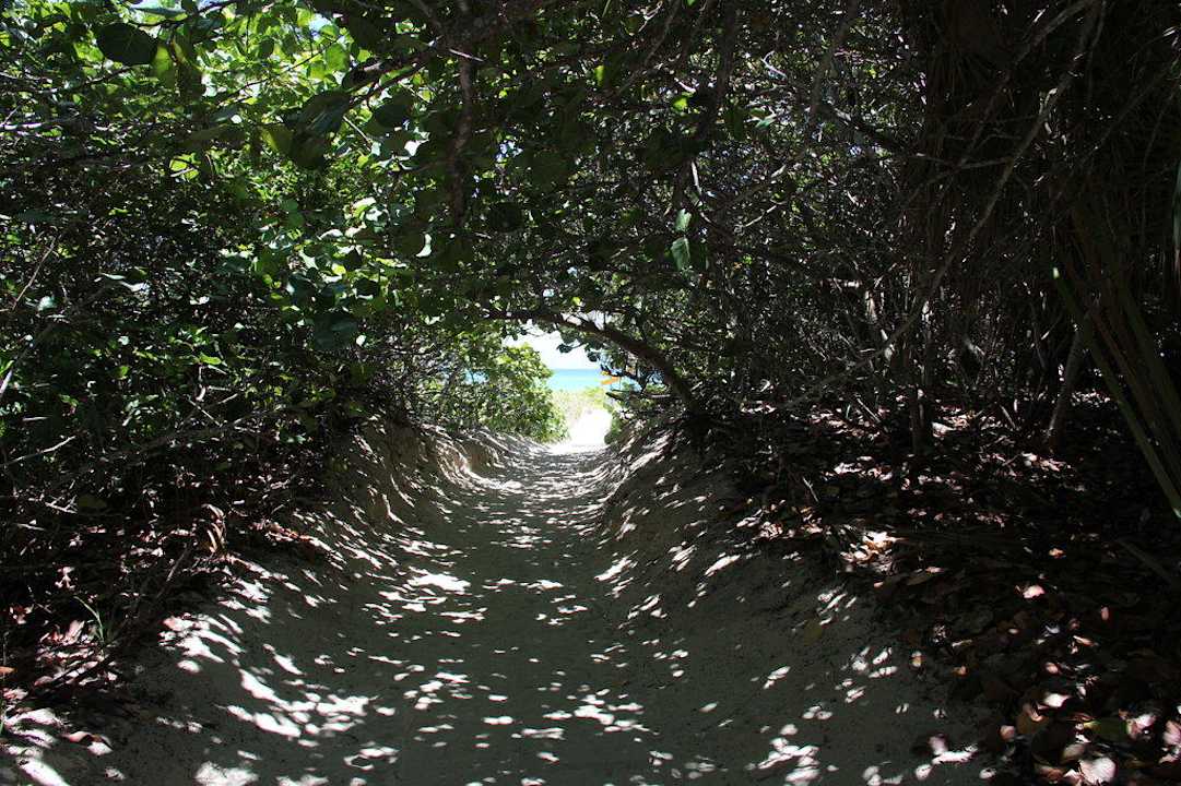 Weg zum Hotel-Strand Melia Las Antillas - Adults only
