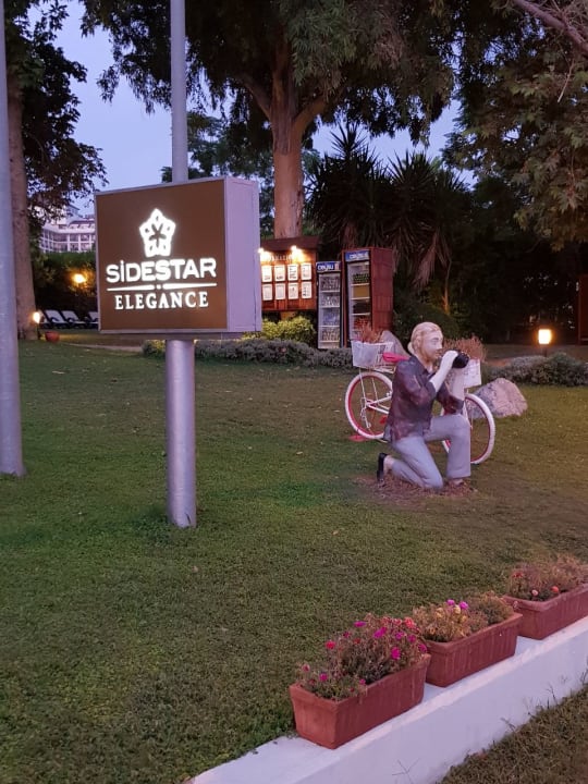 Sonstiges Side Star Elegance